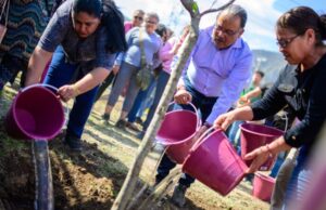 Proyecta Escobedo plantar más de 30 mil árboles para 2027