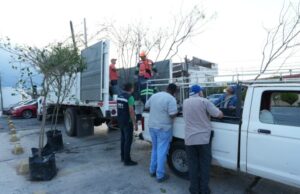 Invita Monterrey a participar en programa “Adopta un árbol Mty”