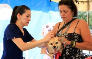 Protegen a mascotas con servicios veterinarios en Guadalupe