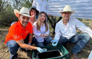 CEFOSAMP refuerza acciones contra la larva de gusano barrenador en NL