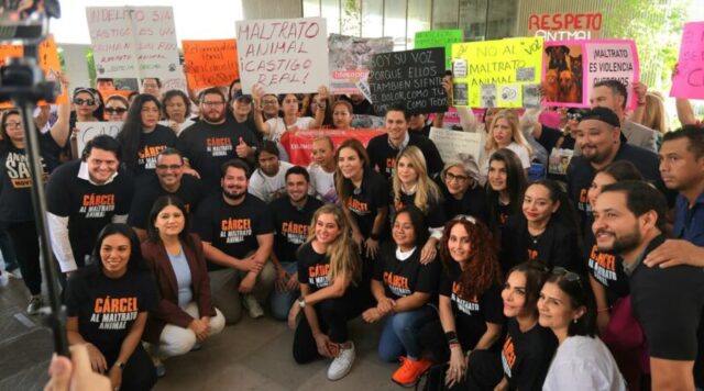 FB_IMG_1759811155919-800x445