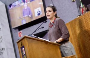 Aprueba Congreso reforma de Lorena de la Garza para homologar “choquecitos”