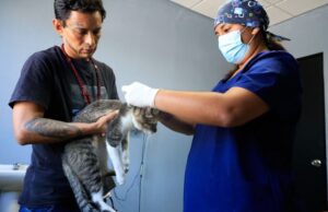 Realiza Guadalupe 17 mil servicios veterinarios en primer año de Gobierno