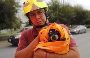 Rescata Protección Civil de Escobedo a perrito que cayó a canal