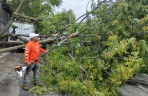 Refuerza Guadalupe labores de desazolve y retiro de árboles